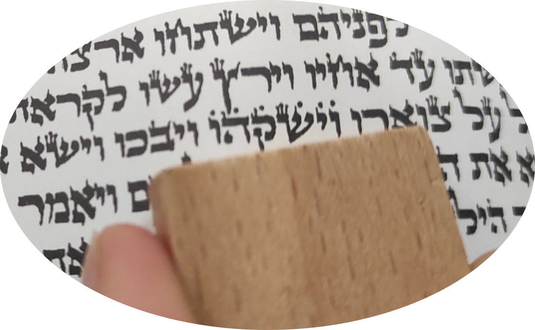 WaJischaqehu - וַיִּשָּׁקֵהוּ